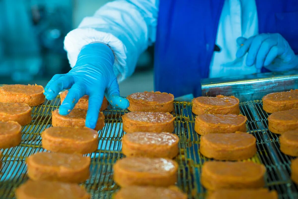 Производственная линия. Производство устойчивых продуктов. Завод пищевой промышленности. Униформа для пищевого производства. Пищевая промышленность.