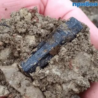 Капсула в новороссийске