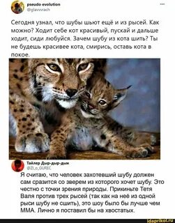 Где живете рысь