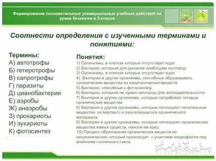 Каким обобщенным биологическим термином принято обозначать механизм