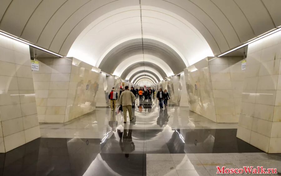 Петровско-разумовская станция динамо метро. Петровско разумовская станция колонны. Станция петровско-разумовская на карте. Люблинско-дмитровская линия метро. Петровско-разумовская станция метро карта.