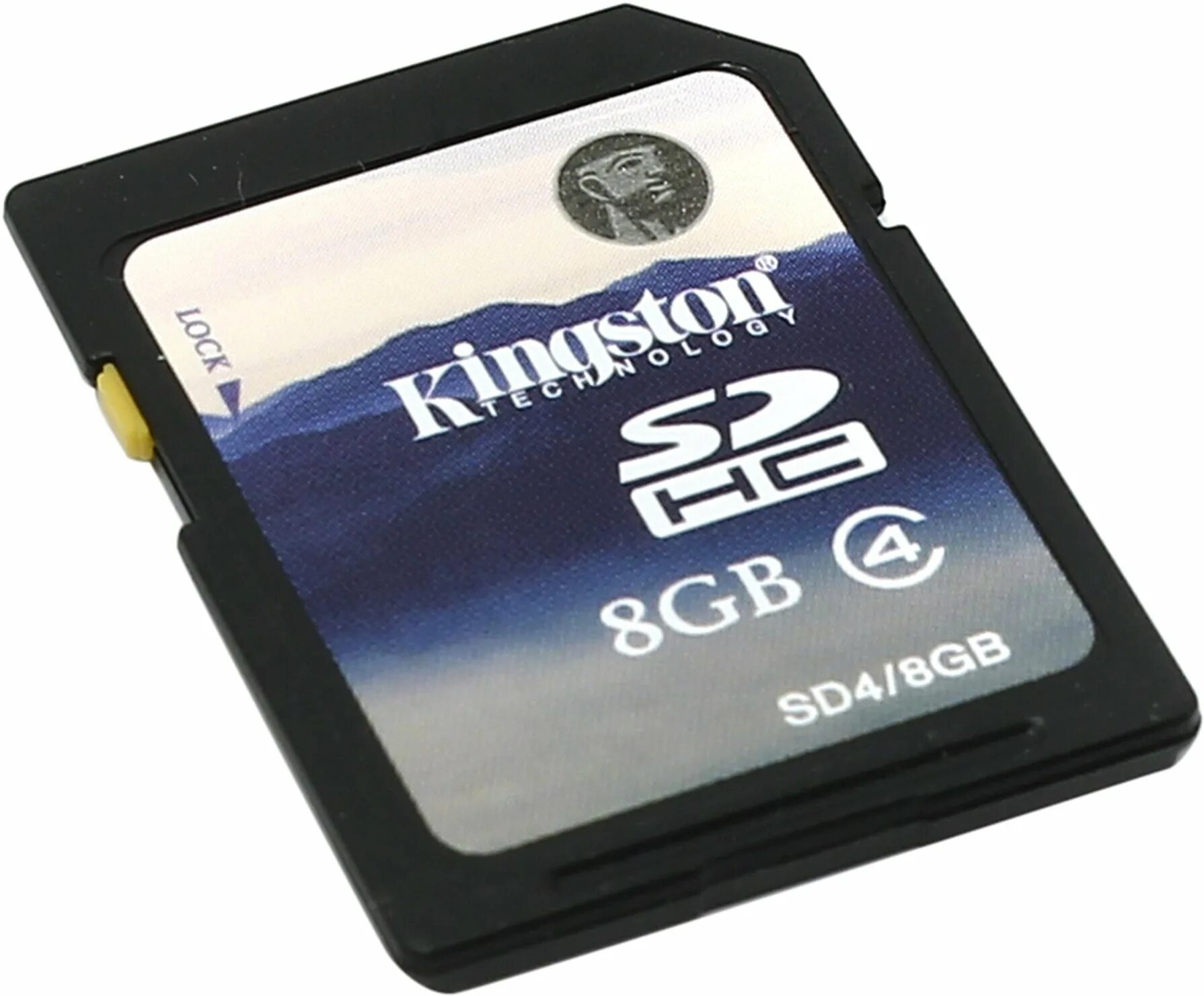 Память sd sdhc. Kingston SD Card 16 GB. SD карта 16 ГБ Kingston. Kingston SD class 4. Kingston sd10v SDHC 8gb.