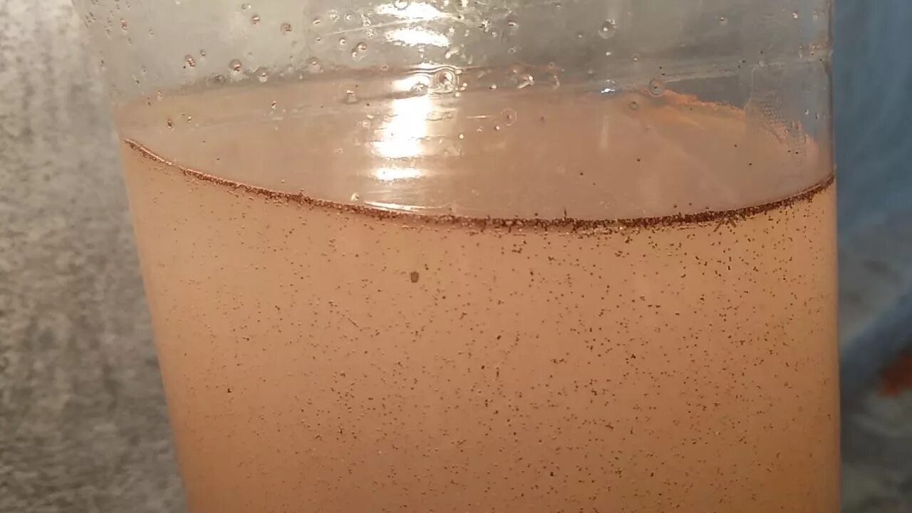 Яйца артемии "артемия +. Artemia salina цисты. Вылупление артемии. Вылупление артемии. Яйца цисты артемии.