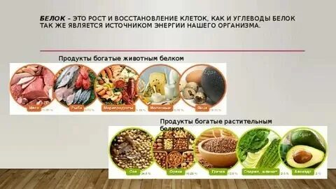 Масло это углеводы или белки