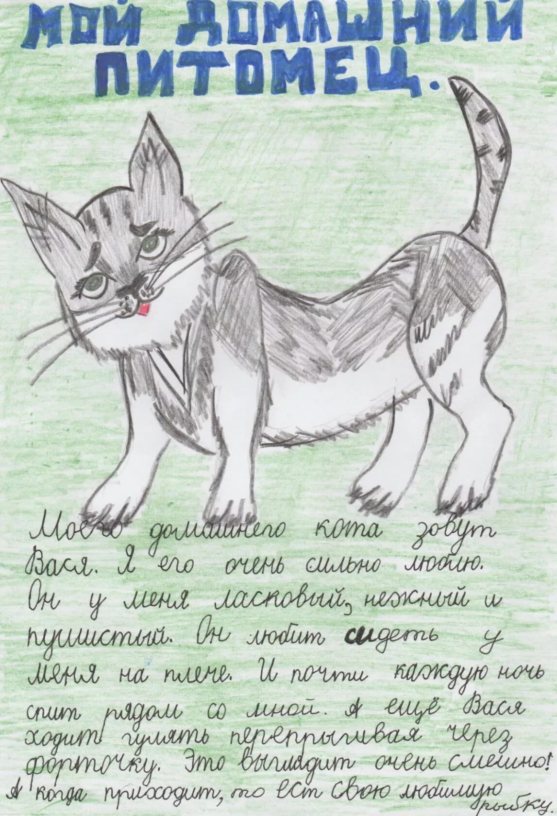 Животные и ты (коты, сабаки, хамяки) Животные и ты, коты, сабаки, хамяки 2025 ВК
