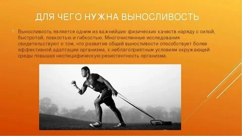 Что такое выносливость физическое качество физическое умение