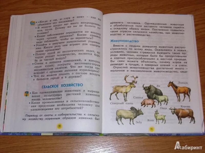 Животноводство плешаков 3 класс тест. Окружающий мир 3 класс учебник животноводство. окружающий мир 3 класс 2 часть учебник животноводство. окружающий мир 2 класс стр 60-63 учебник. животный мир учебник.
