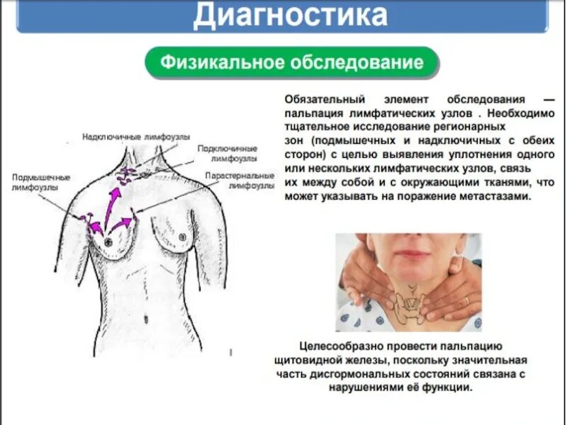 Подключичные лимфоузлы расположение схема. Пельвикальные лимфатические узлы. Надключичные лимфоузлы расположение воспаление. Лимфоузлы на ключице расположение схема. Норма аксиллярных лимфоузлов