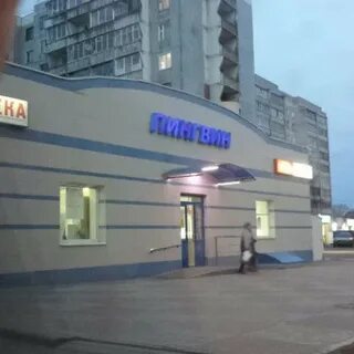 Пингвин киров