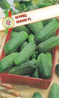 Огурец сорт конни