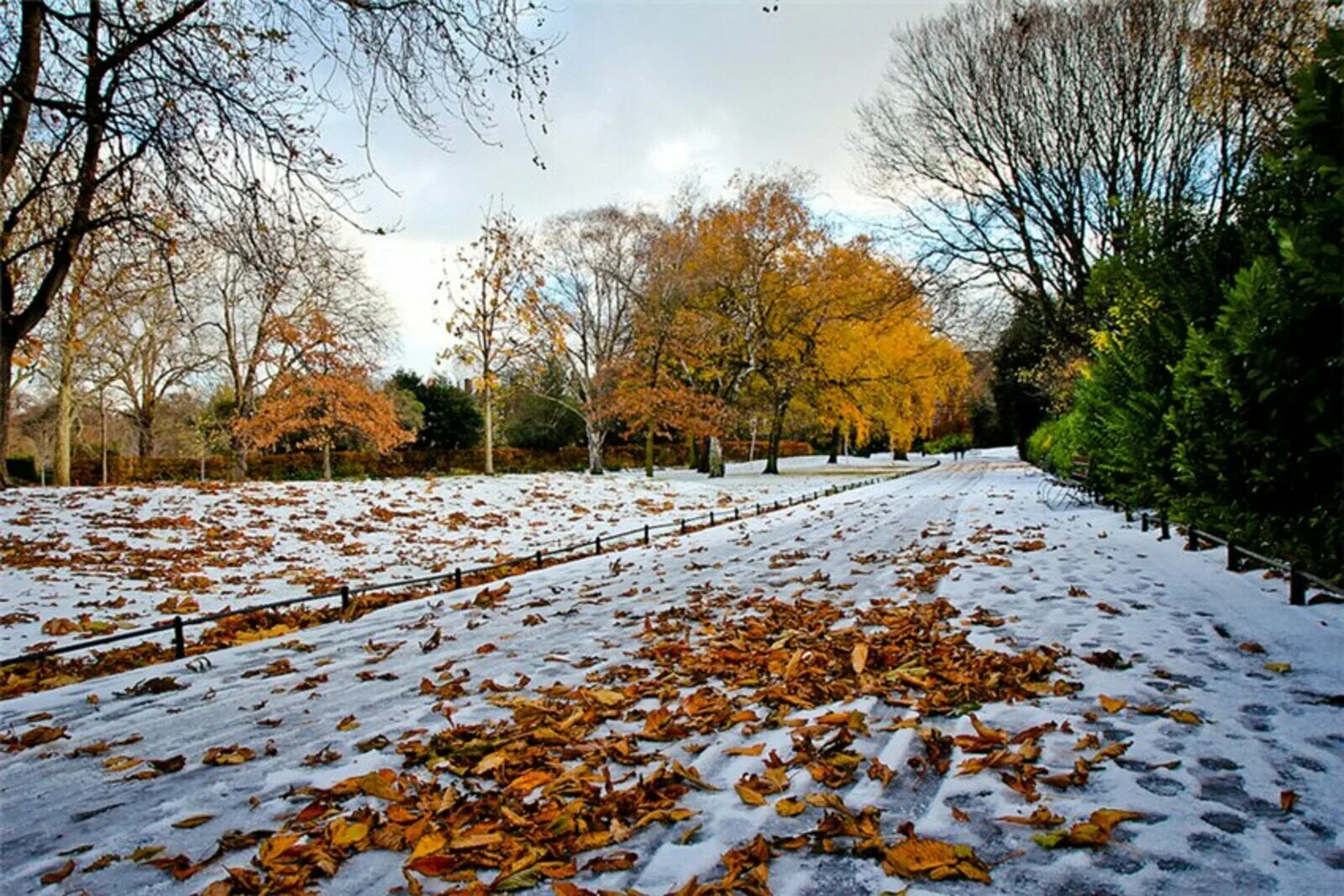 Ноябрь природа. Осенью октября. Осенью октября. Early october. Осень ноябрь.