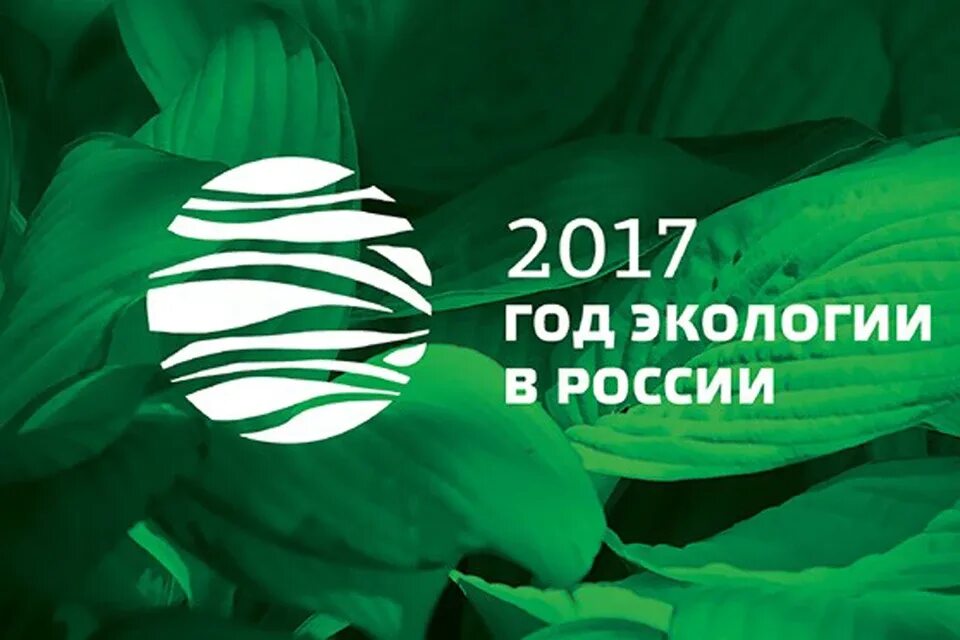 Эмблема года экологии. Год экологии. Год экологии. Эмблема года экологии. Год экологии материалы.