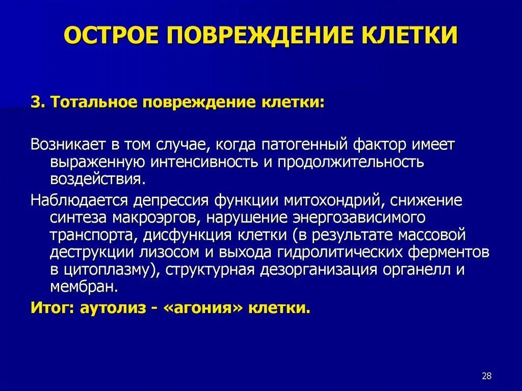 Этапы повреждения клетки. Факторы повреждения клетки. Факторы вызывающие повреждение клетки. Исходы повреждения клетки.