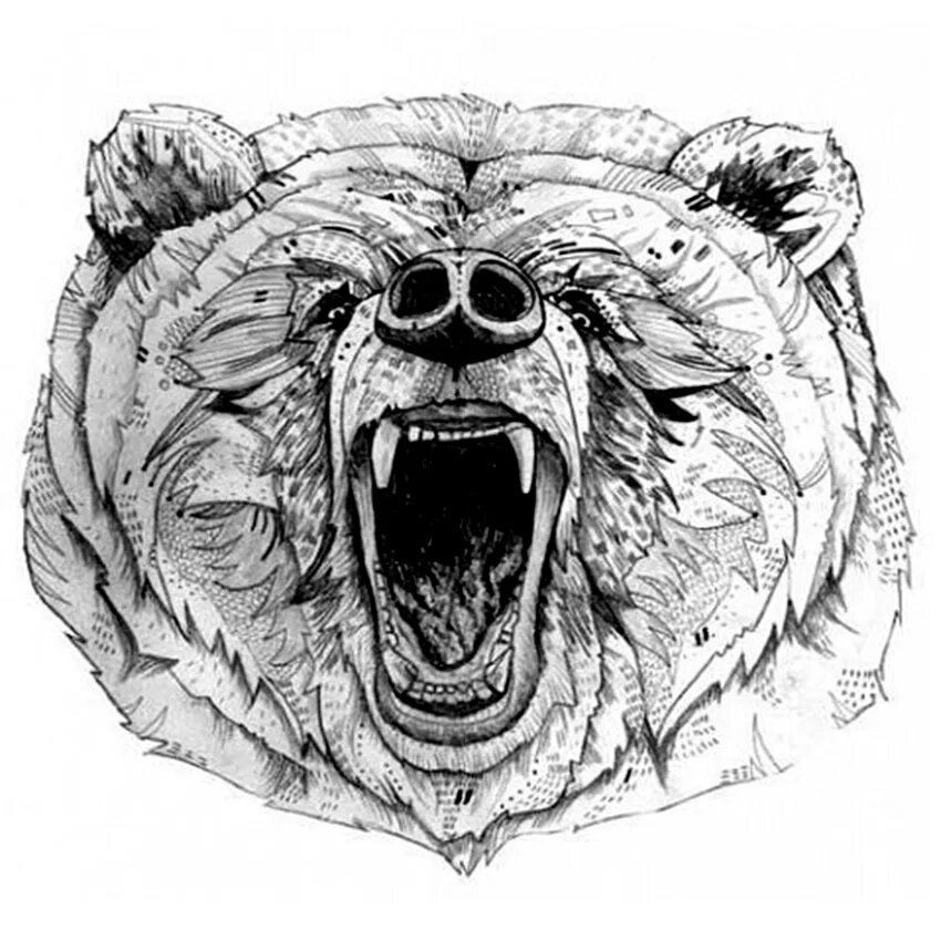 Bear s eye. Медведь эскиз. Медведь тату эскиз. Тату голова медведя. Голова медведя тату эскиз.