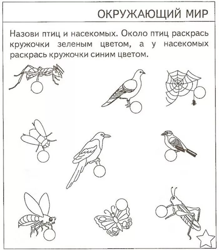 Рабочий лист окружающий мир 1 класс. Задания по ознакомлению с окружающим для детей 5 6 лет. тестовые задания &quot;окружающий мир&quot;, для детей 5-6 лет. задания по окружающему миру для детей с зпр. задания по окружающему миру для дошкольников 1 класс.