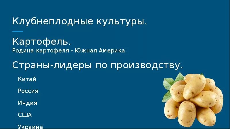 Картофель относится к группе. Клубнеплоды культуры. КЛУБНЕПЛОДНЫЕ культуры страны Лидеры. Лидеры по производству клубнеплодных культур. КЛУБНЕПЛОДНЫЕ культуры страны производители.