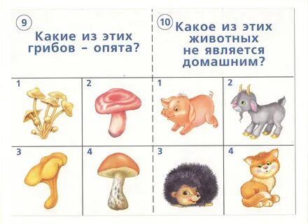 Карточки окружающий