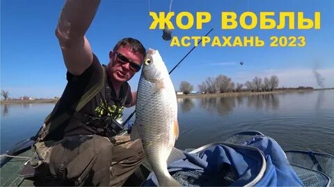 Рыбалка в астрахани на что ловить