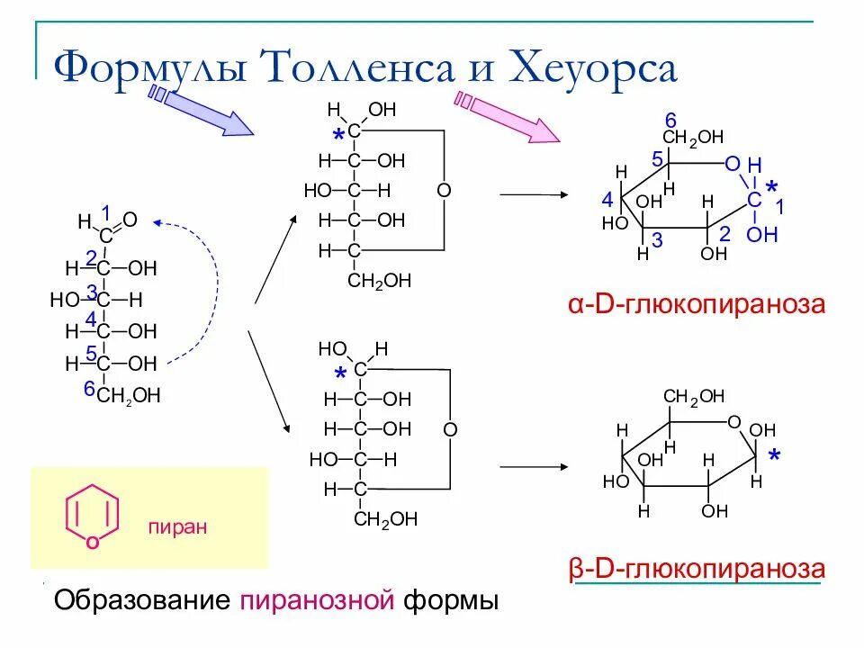 глюкоза формула хеуорса. проекция хеуорса глюкозы. перспективные формулы хеуорса. формула хеуорса. D глюкоза формула хеуорса.