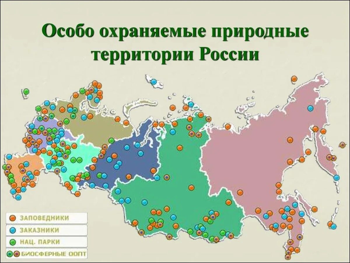 Национальные земли россии. Особо охраняемые природные зоны России карта. Карта особо охраняемые природные территории России 8 класс. Заповедники национальные парки заказники России на карте. Карта особо охраняемые природные территории России заповедники.