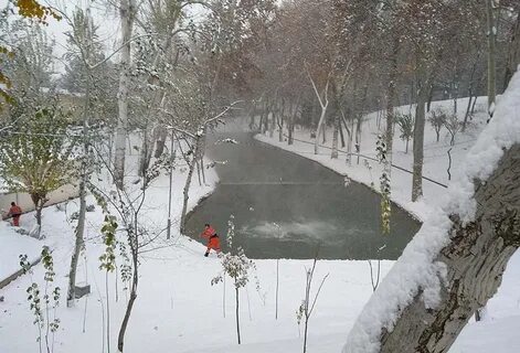 Ташкент холодно