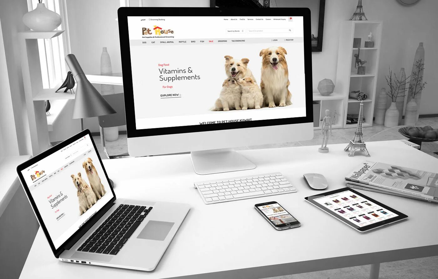 R website