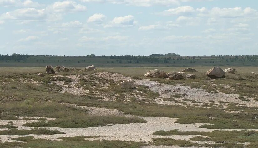 Озеро большой Тассор Алтайский край. Озеро большой Тассор Угловский район. Заказник озеро большой Тассор. Угловский район Алтайский край. Погода алтайский край угловский топольное