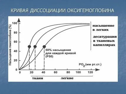 Па увеличиваться