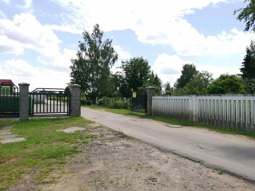 Могилев кладбища. Еврейское кладбище (могилёв). кладбище в белоруссии. лавсановское кладбище могилев. гребеневское кладбище в могилеве.