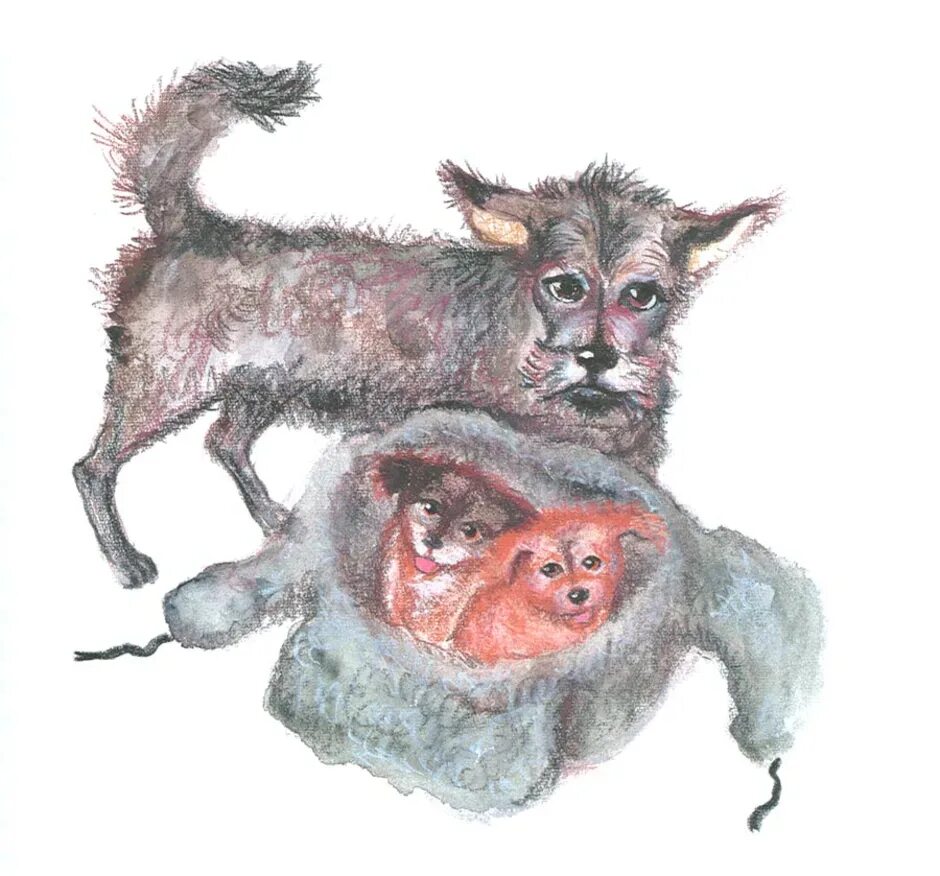 Собака малька белов. Собака малька. Рассказы о всякой живности белов иллюстрация. Собака малька. Про мальку книга.