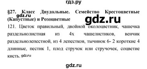 Биология 7 класс рабочая тетрадь пасечник