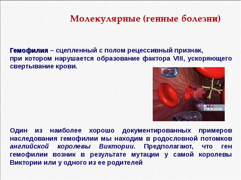 Ген заболевание крови. Молекулярно генетические заболевания. Гемофилия генная мутация. Молекулярное наследование болезни. Генные болезни гемофилия.