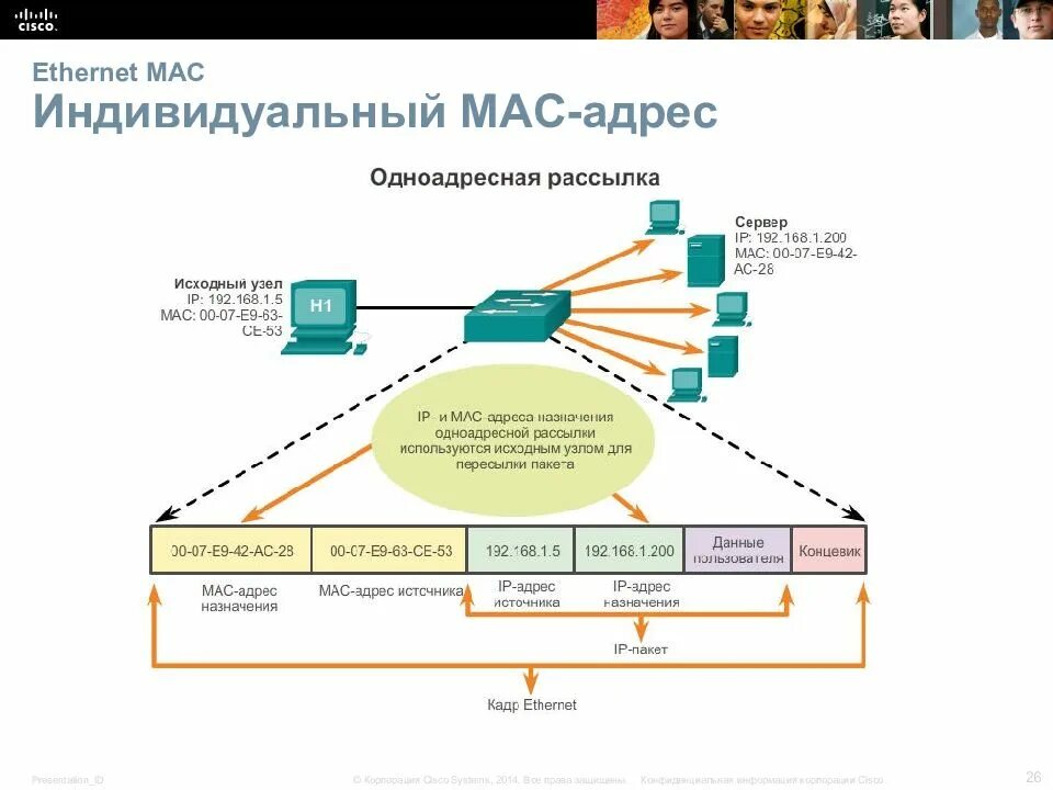 Ethernet mac address. Широковещательный мас адрес. типы мак адресов. индивидуальный мак адрес. представления mac-адресов.