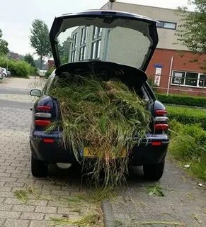 Преследую китайскую машину прикол