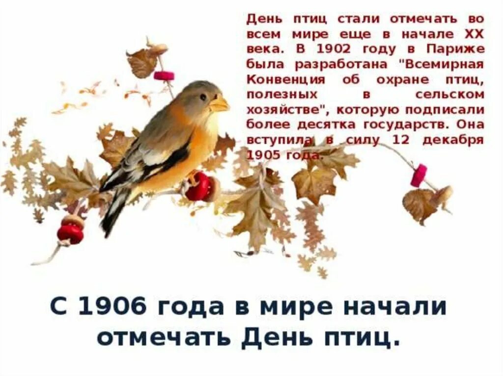 О дне птиц 1 апреля. День птиц. день птиц презентация. апрель день птиц. стихи на день птиц.