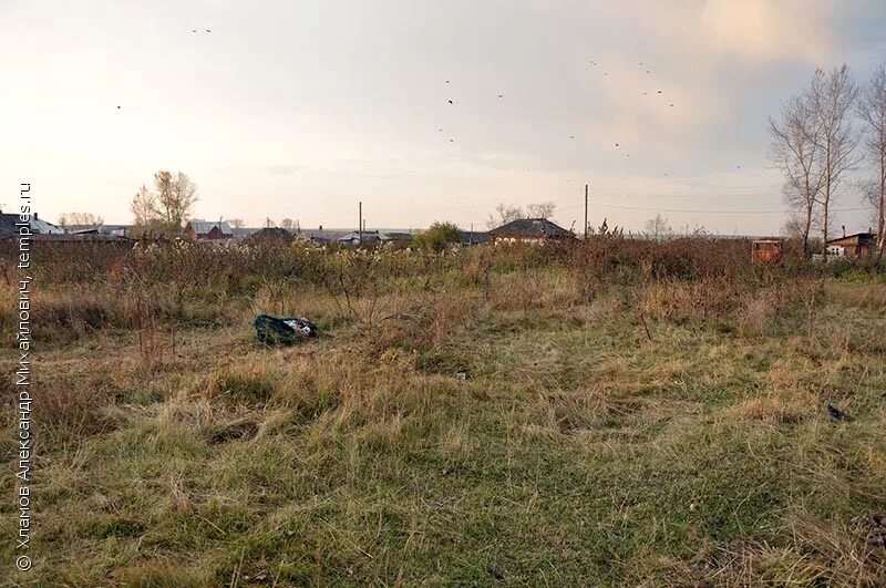 Деревня пустошь. Деревня пустыри. Сенокос некошеный лес да монастырь. Деревня пустыри. Пустырь в деревне.