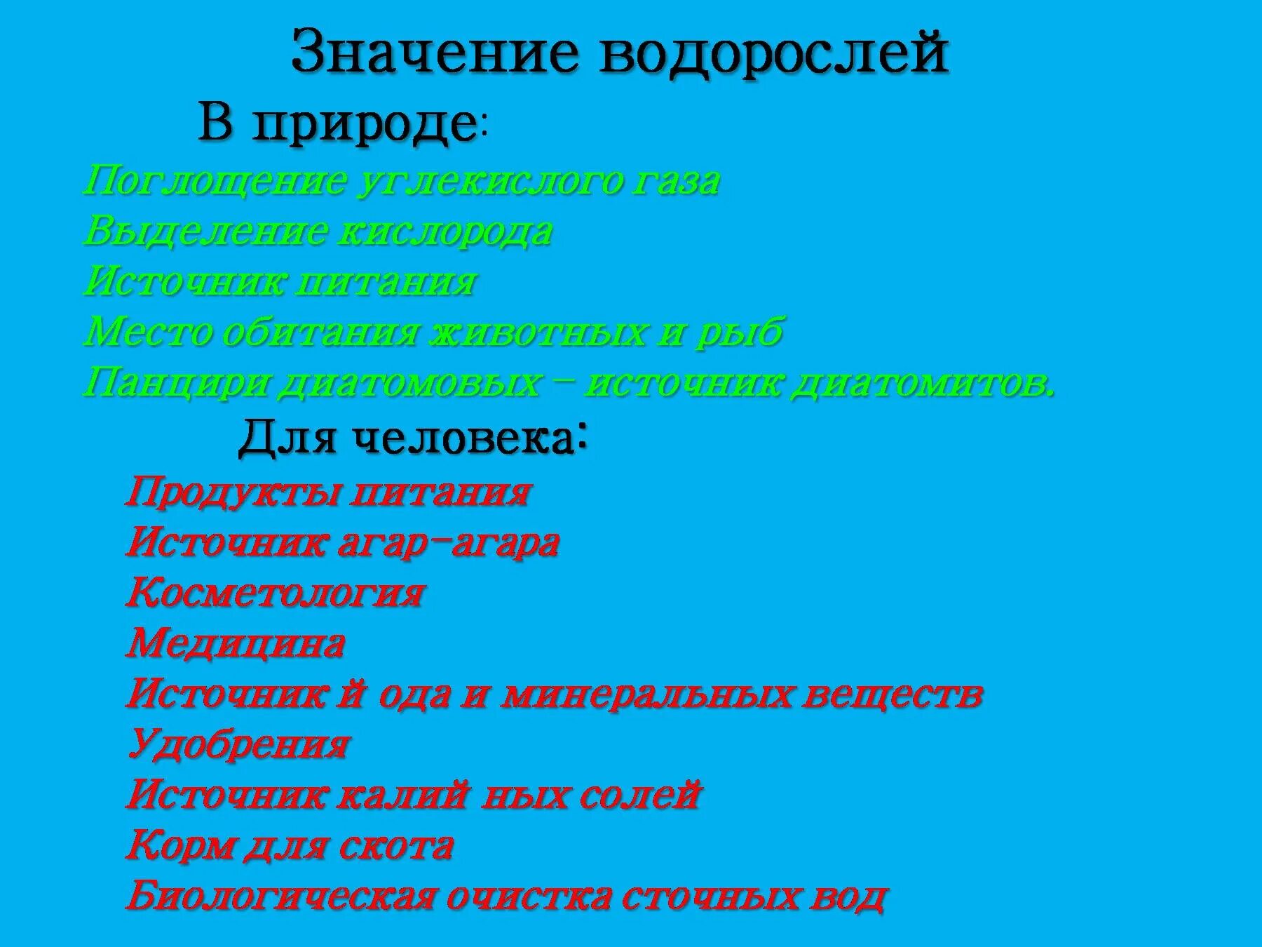 Ценность водорослей как источника питания человека