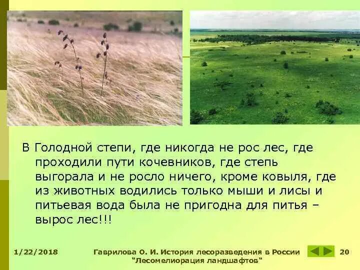 Голодная степь Узбекистан. Освоение голодной степи. Освоение голодной степи в Узбекистане. Голодная степь в Казахстане.