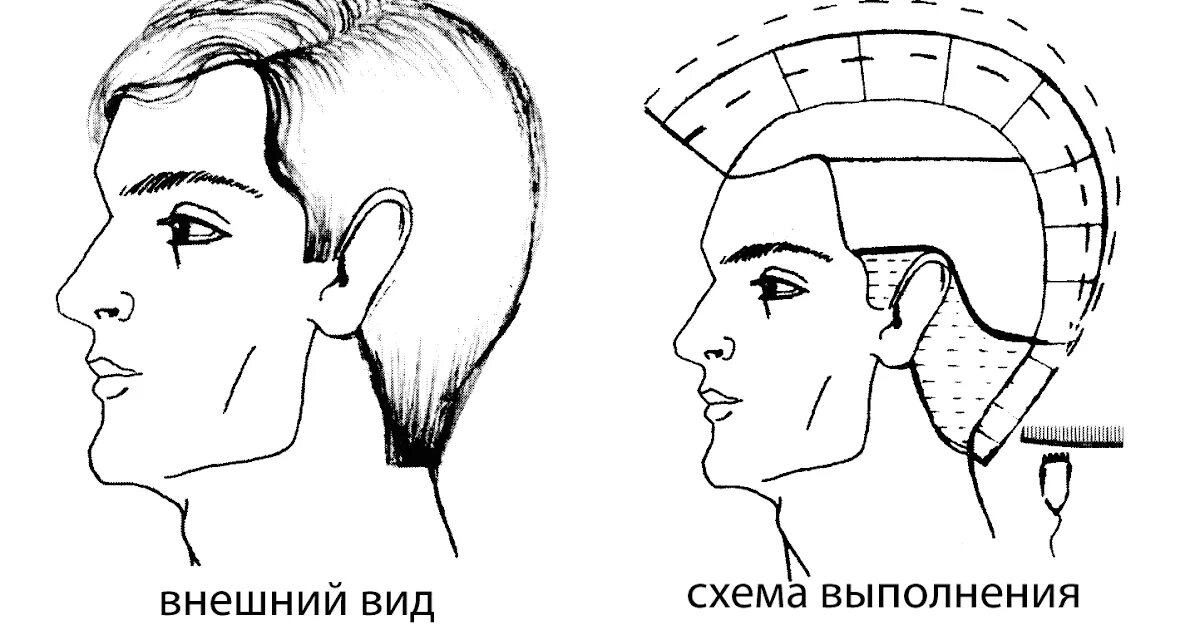 Канадка мужская стрижка схема выполнения. Мужская стрижка канадка технология выполнения схема. Схема мужской стрижки машинкой полубокс. Мужская стрижка канадка классическая схема. Технология выполнения мужской стрижки