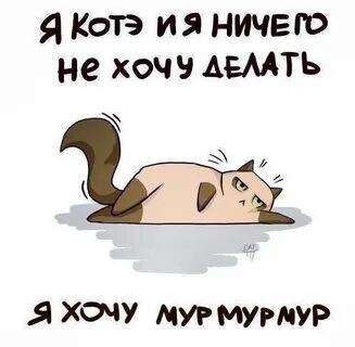 Мур мур 5 6