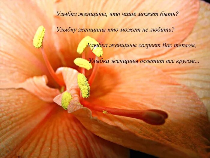 Стихи про улыбку девушки. Стихи про улыбку женщины. стихотворение про женскую улыбку. женщина с красивой улыбкой стихи. женская улыбка стишок.