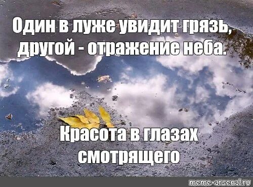 Один видит в луже грязь а другой отражение. Один в луже видит грязь другой отражение неба. Один увидит в луже грязь. Один видит в луже грязь а другой звёзды. И человек всегда замечает