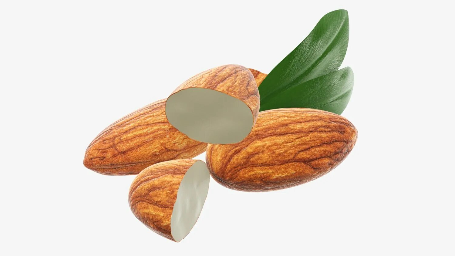 Nuts model. Almonds 3d. nuts 3д. nut model. almond png.