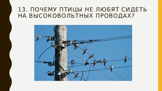 Почему птицы могут сидеть на высоковольтных проводах. Почему птицы любят сидеть на проводах. Высоковольтные провода опасность. Полоски на высоковольтных проводах.
