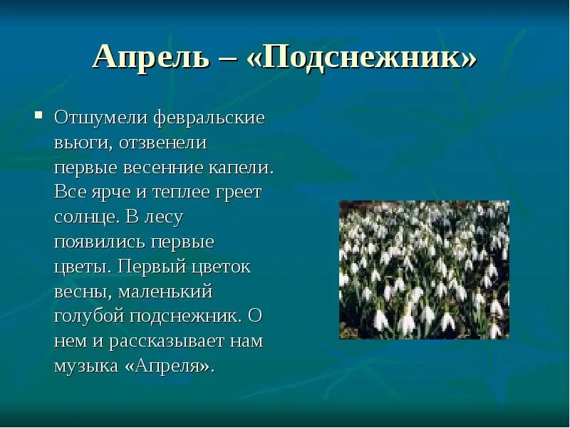 Песня про подснежники детская. Апрель Подснежник. Сочинение про Подснежник. Сочинение на тему Подснежник. Описание подснежника сочинение.