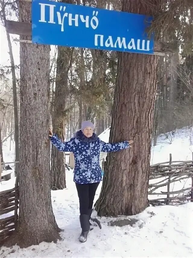 Кокшамары деревья. Кокшамары табличка. Илюшкино счастье 133