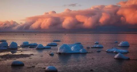 Уникальность белого моря