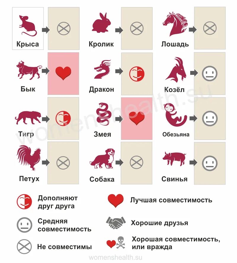 Гороскоп по восточному гороскопу. Знаки восточного гороскопа по годам. Вырезалки на окна хрюшки. Год петуха свиньи. Год петуха свиньи.