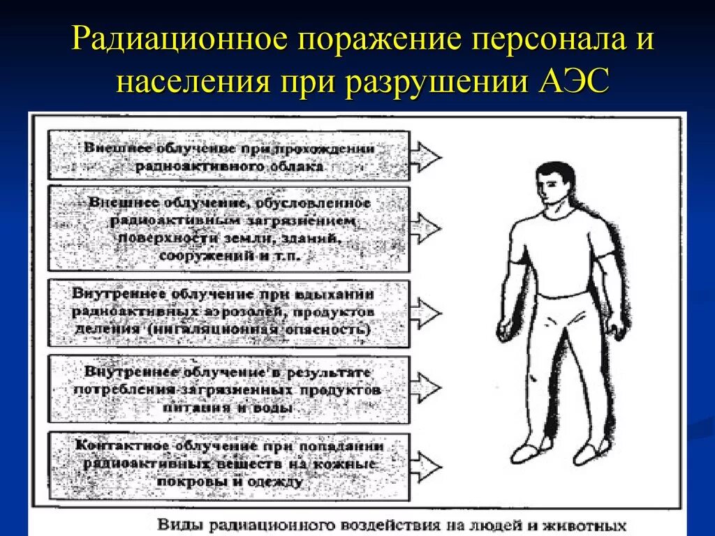 Признаки лучевого поражения. Поражающие радиационные факторы радиационной аварии это. Радиационное поражение человека. Формы радиационного поражения. Факторы радиационного воздействия на человека.