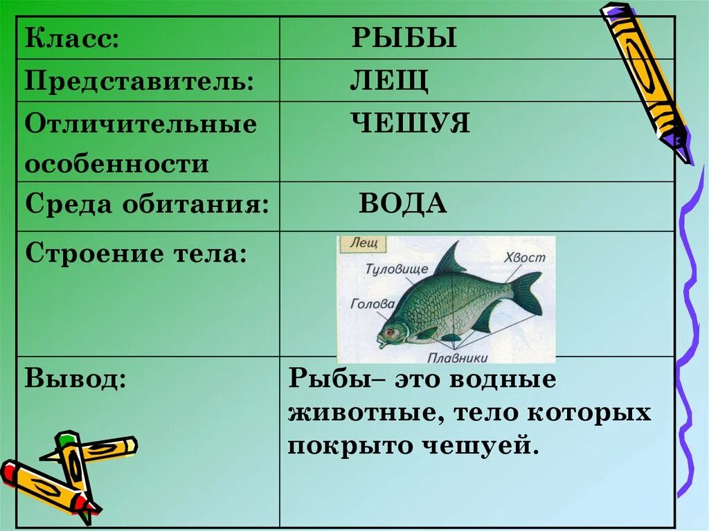 Название групп рыб. Группа животных рыбы. Представители группы рыбы. Водные животные тело которых покрыто чешуей. Признаки рыб.